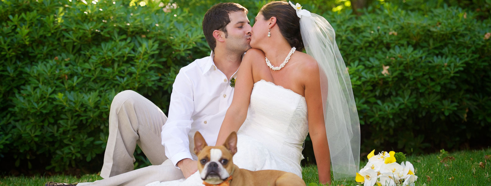 傻瓜式操作的ddos在线压力测试平台